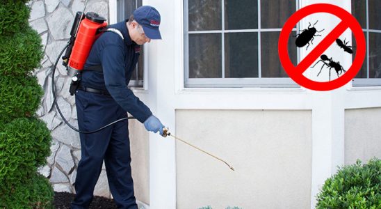 Gölköy Akrep İlaçlama böcek ilaçlama ve haşere kontrolü — ilaclama-tr.com